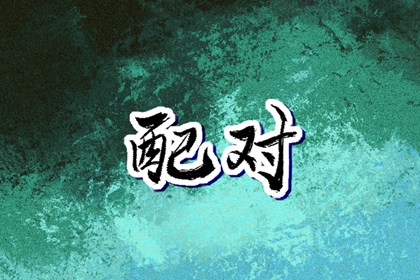姻缘套路话 八字测正缘桃花 姻缘模板 配八字合婚 八字看流年姻缘