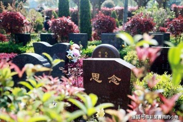 2024年清明添坟吉日 清明上坟买土可以吗