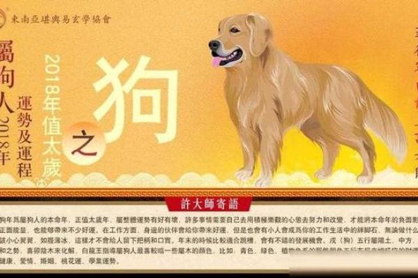 属狗女阳历5月吉日 5月狗女一生运势