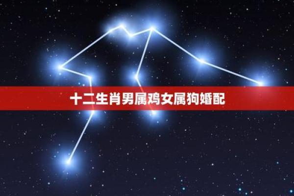属狗女阳历5月吉日 5月狗女一生运势