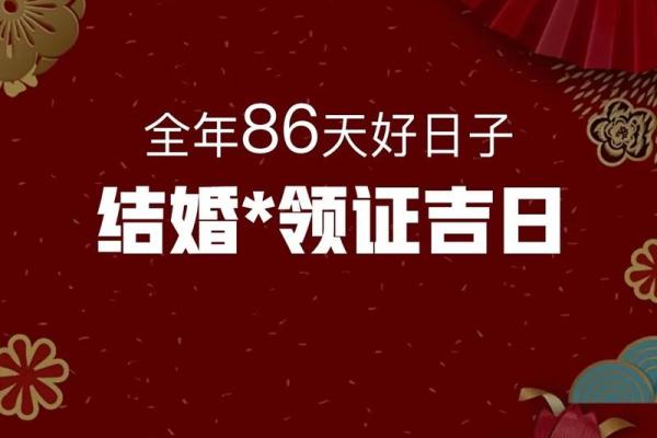 2024年属猪黄道吉日 2024年属猪人的全年运势