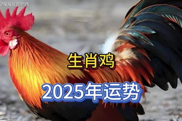 2024年属鸡3月吉日 属鸡农历三月出生好吗