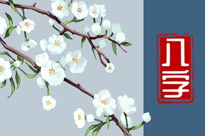 九玄斋算命,易德缘八字,八字八卦推法,抽签八字算命,算命流月运势,生辰八字查询