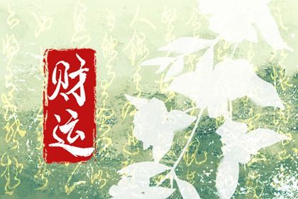 流年运势：动态视角