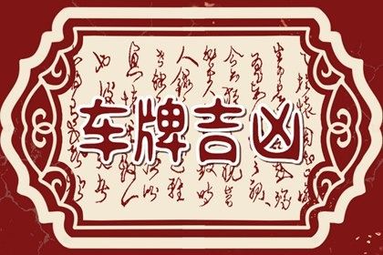 车牌数字解读