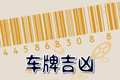 号码吉凶是什么