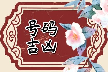 在线号码查询怎么看