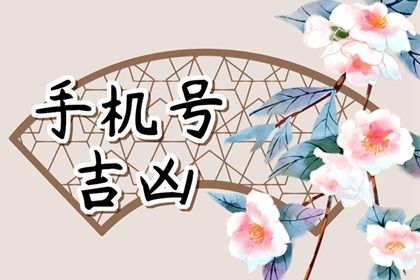 在线号码查询怎么看