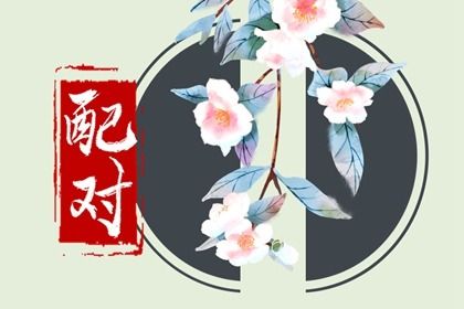 什么是八字合婚?