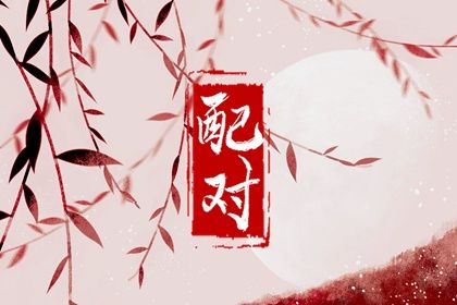 姓名配对在合婚中的位置
