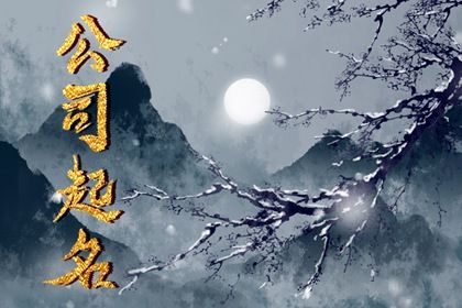 起名在做什么?