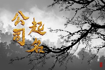 八字精解_摇卦算命_易仆居八字算命_八字全解析