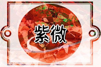 在线紫微查询怎么看