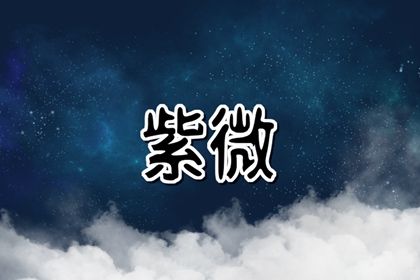 十二宫结构