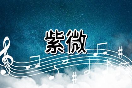 在线紫微查询怎么看