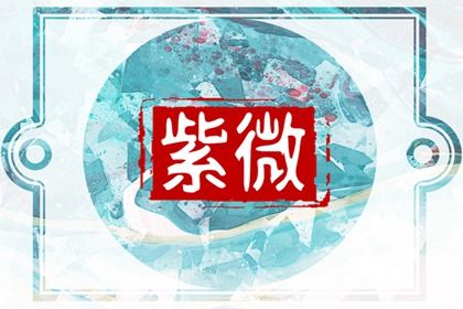 数字化紫微参考用法